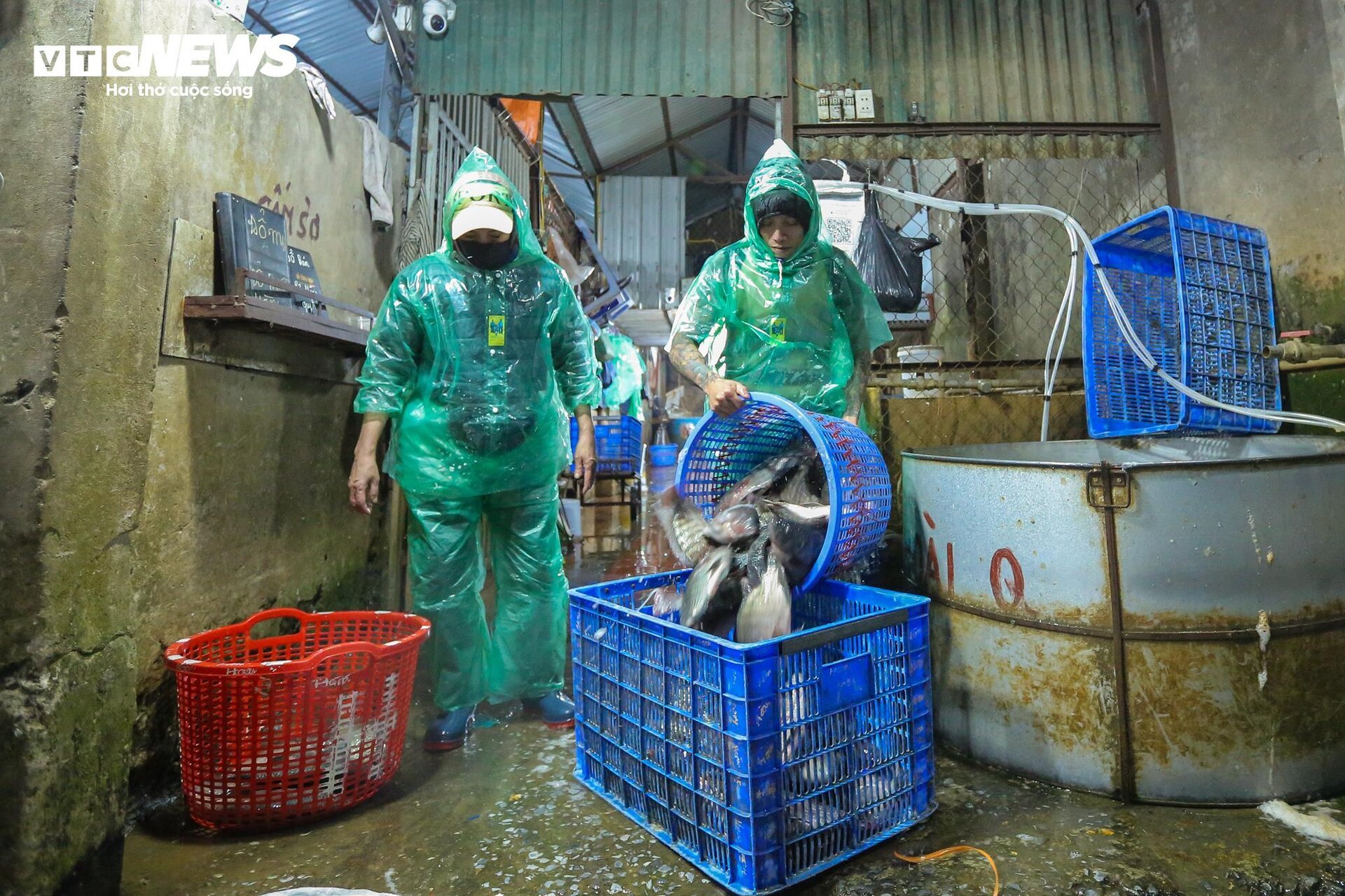 Những bàn tay khiêng đá, bắt cá mưu sinh trong giá rét 9 độ C ở Hà Nội - Ảnh 21