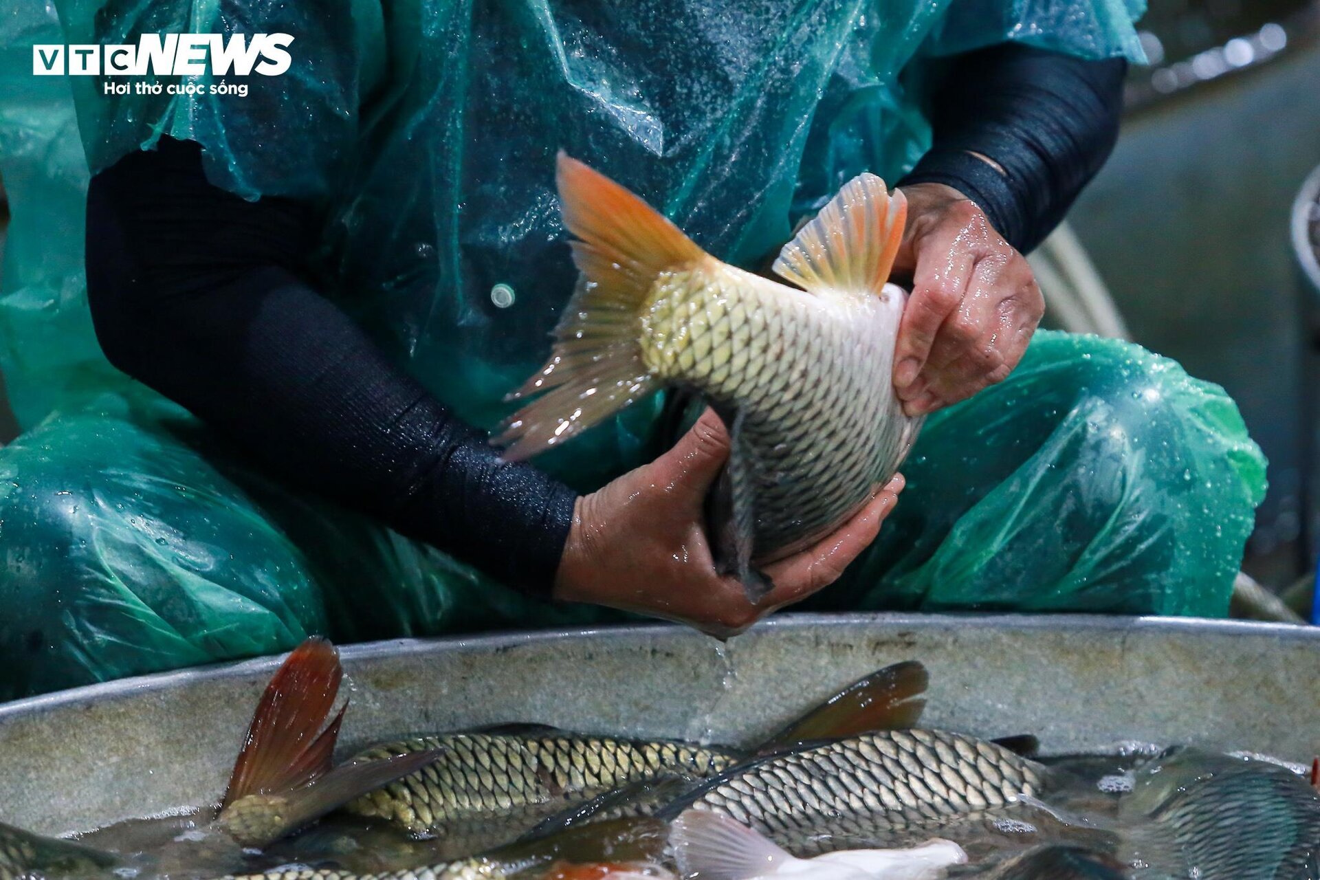 Những bàn tay khiêng đá, bắt cá mưu sinh trong giá rét 9 độ C ở Hà Nội - Ảnh 9