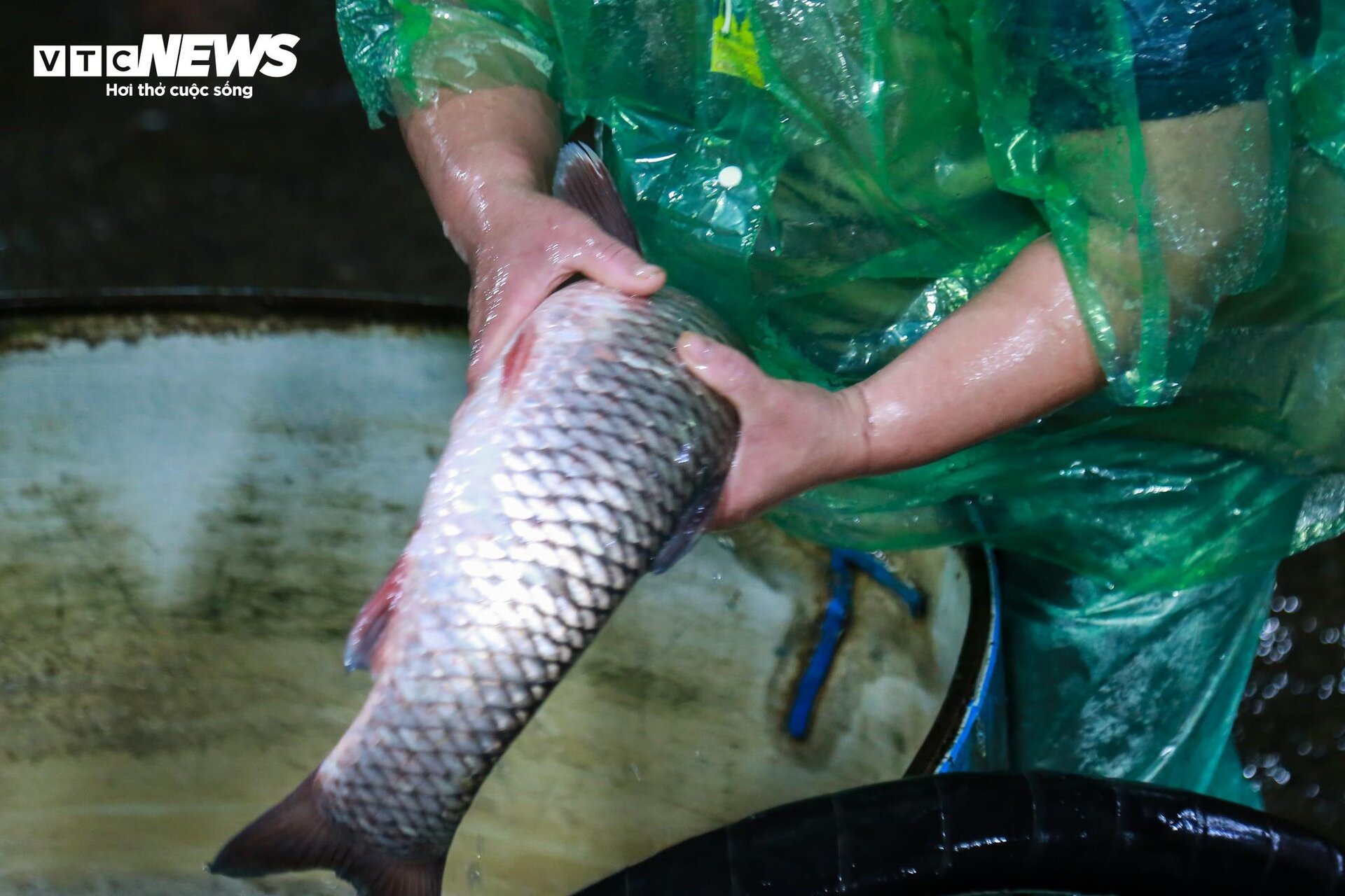 Những bàn tay khiêng đá, bắt cá mưu sinh trong giá rét 9 độ C ở Hà Nội - Ảnh 7