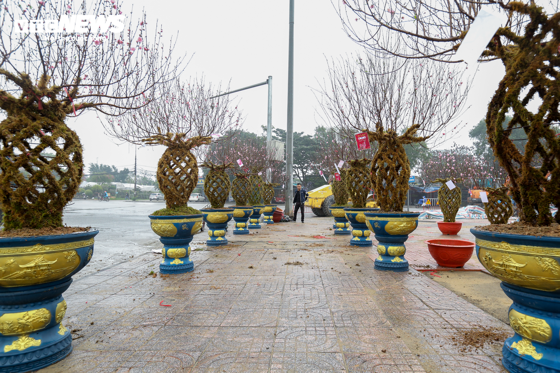 Độc đáo 10 cây đào uốn thành chiếc lộc bình hút khách chơi Tết - Ảnh 16