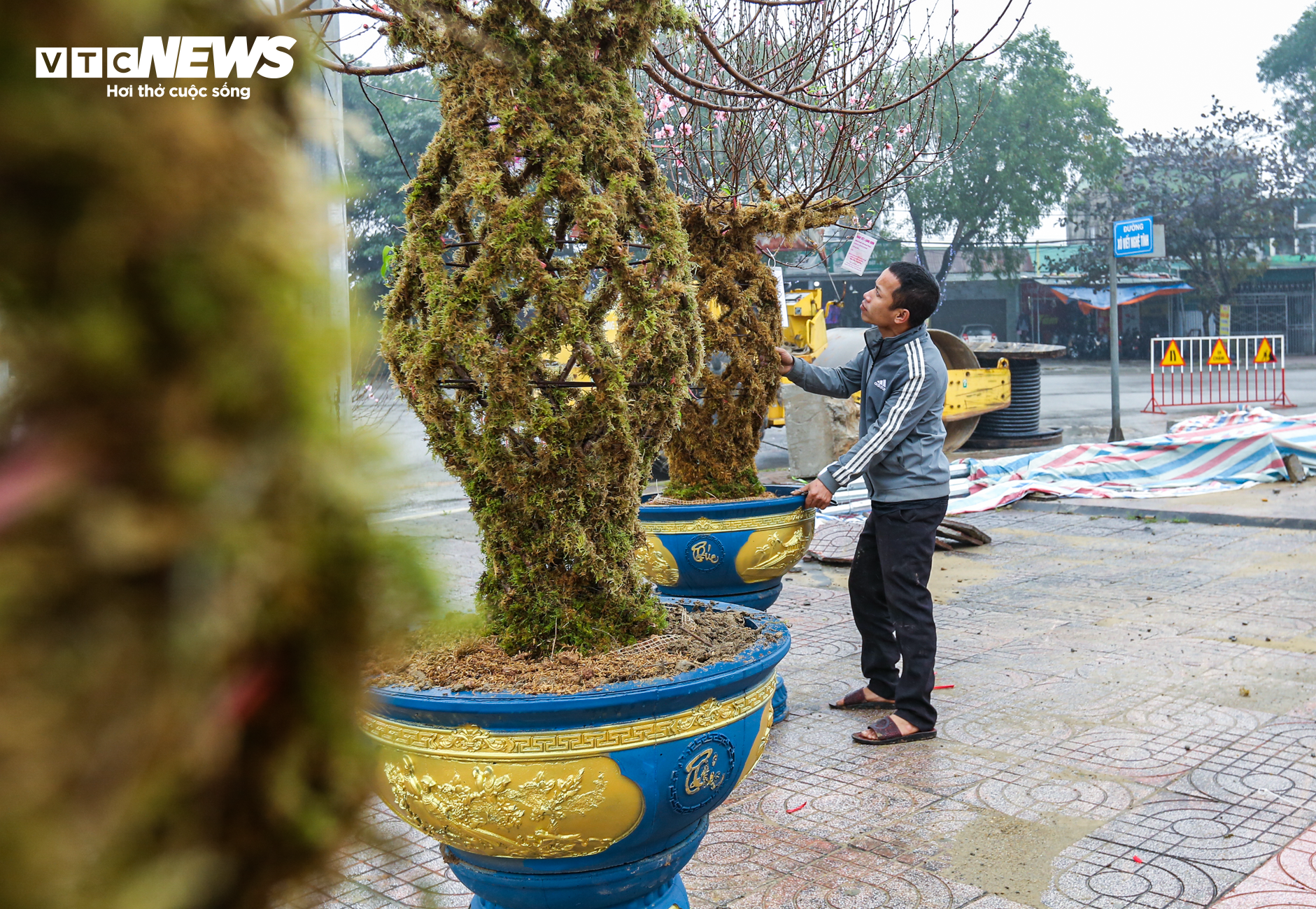 Độc đáo 10 cây đào uốn thành chiếc lộc bình hút khách chơi Tết - Ảnh 9