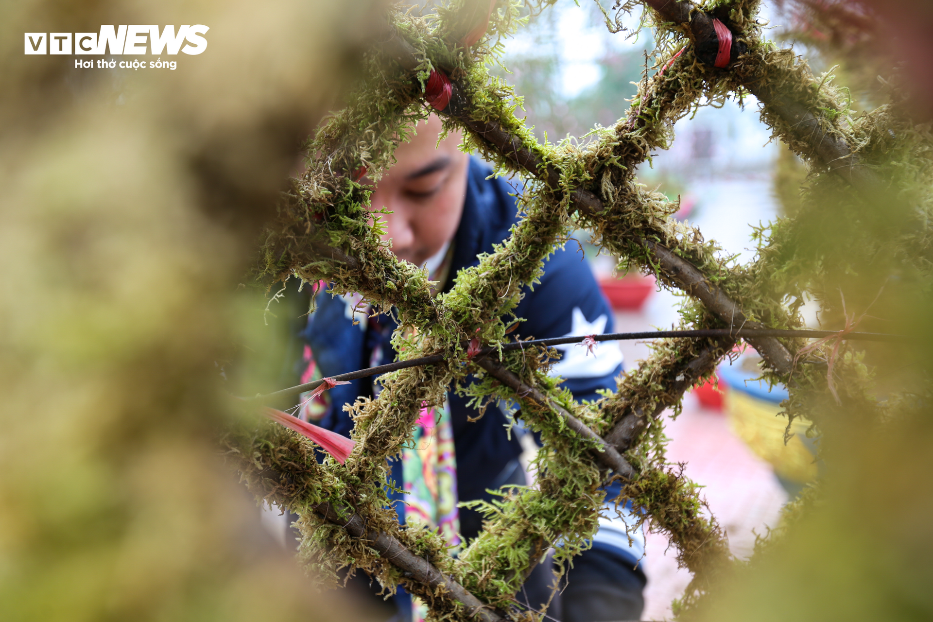 Độc đáo 10 cây đào uốn thành chiếc lộc bình hút khách chơi Tết - Ảnh 8