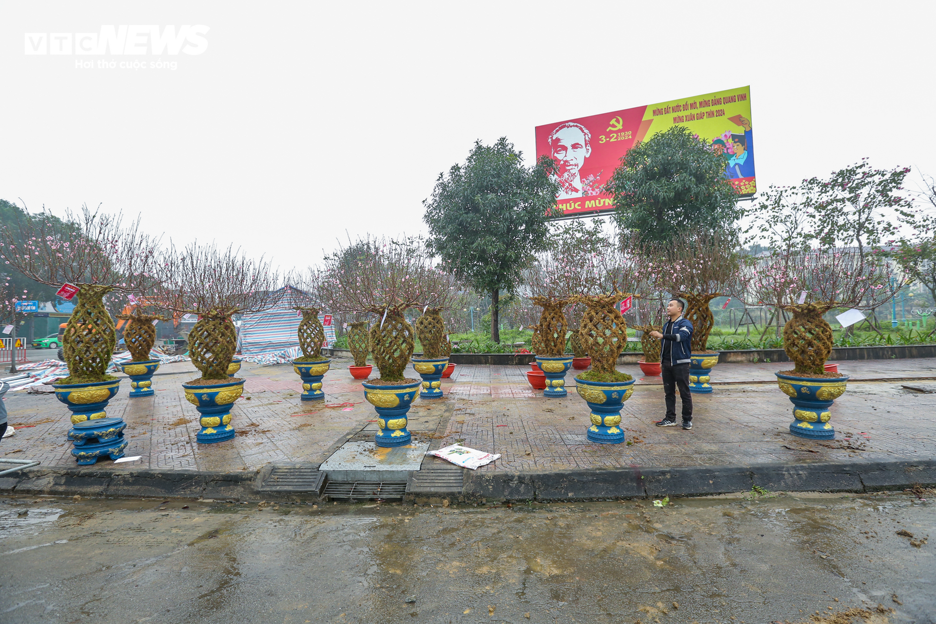 Độc đáo 10 cây đào uốn thành chiếc lộc bình hút khách chơi Tết - Ảnh 4