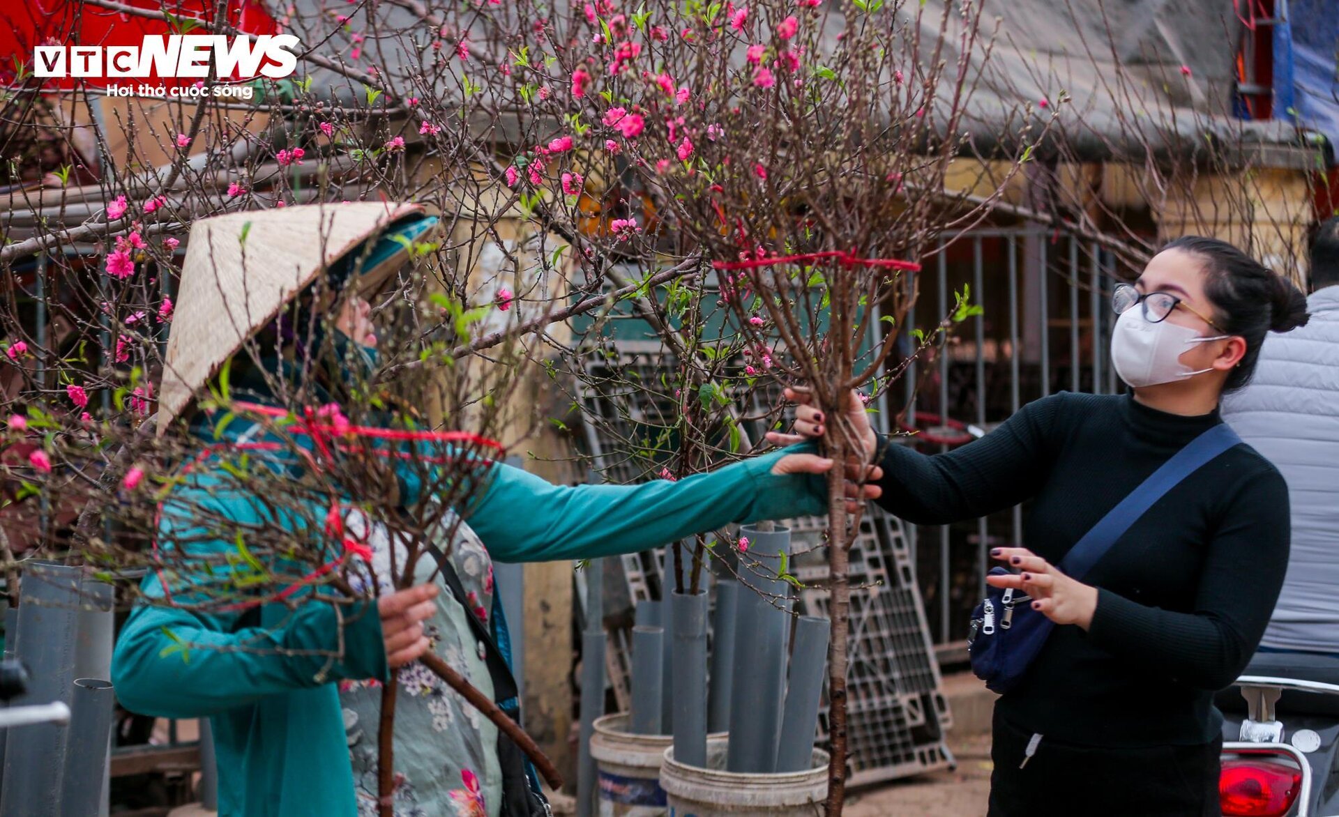 Đào Nhật Tân xuống phố sớm, hút người mua - Ảnh 6