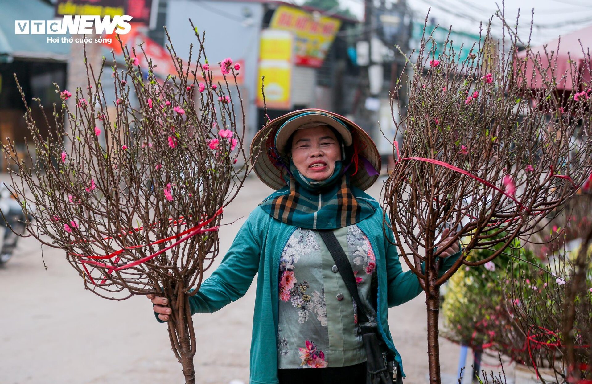 Đào Nhật Tân xuống phố sớm, hút người mua - Ảnh 5