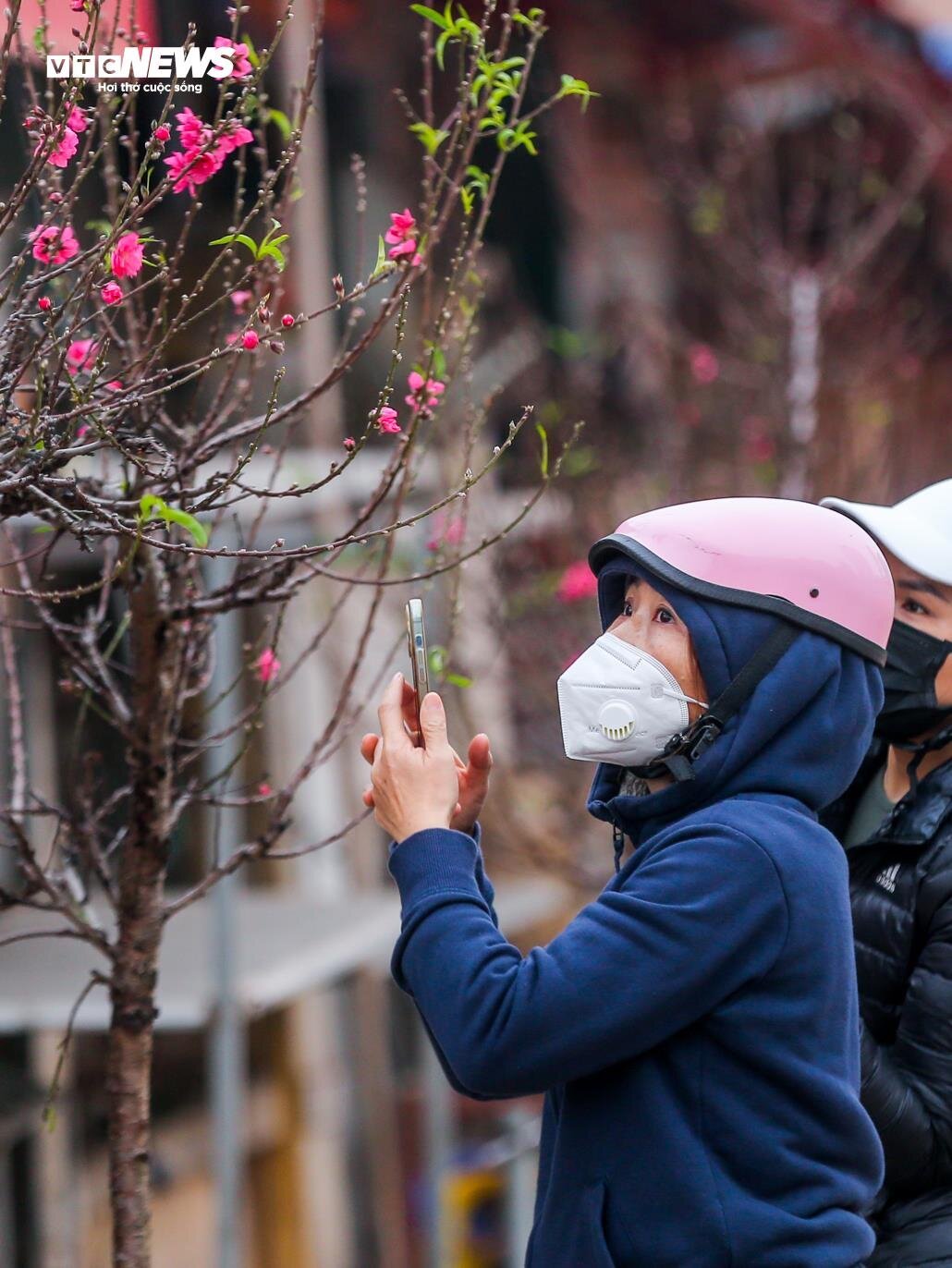 Đào Nhật Tân xuống phố sớm, hút người mua - Ảnh 2