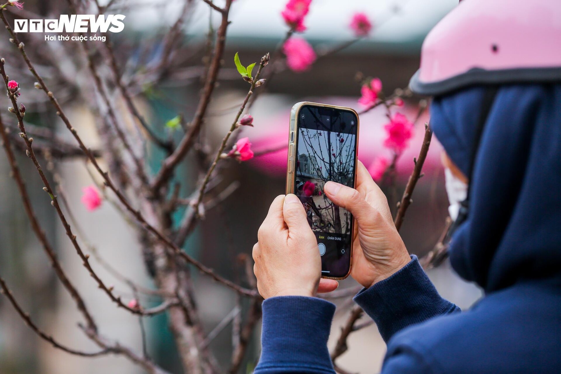 Đào Nhật Tân xuống phố sớm, hút người mua - Ảnh 10