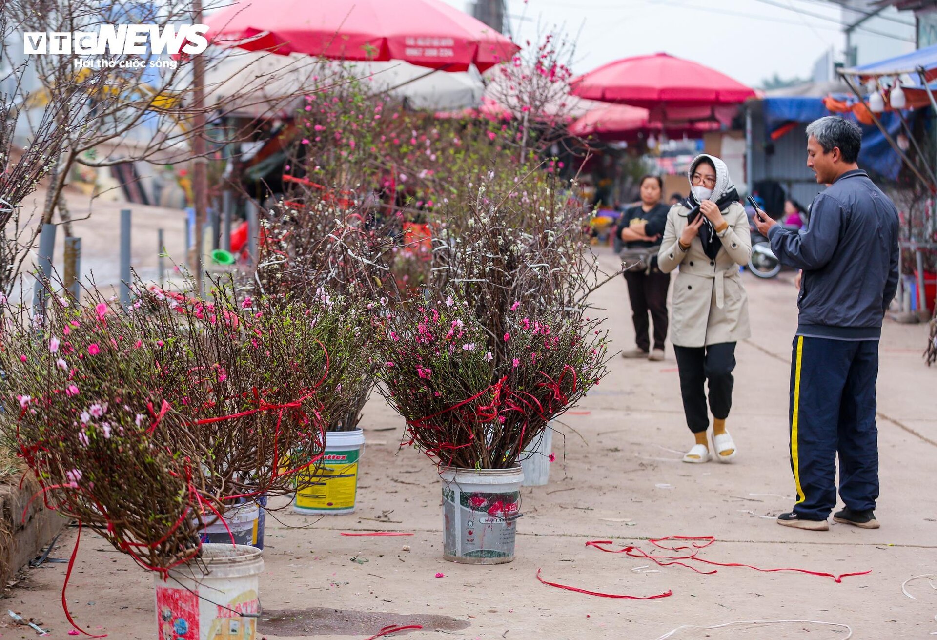 Đào Nhật Tân xuống phố sớm, hút người mua - Ảnh 4