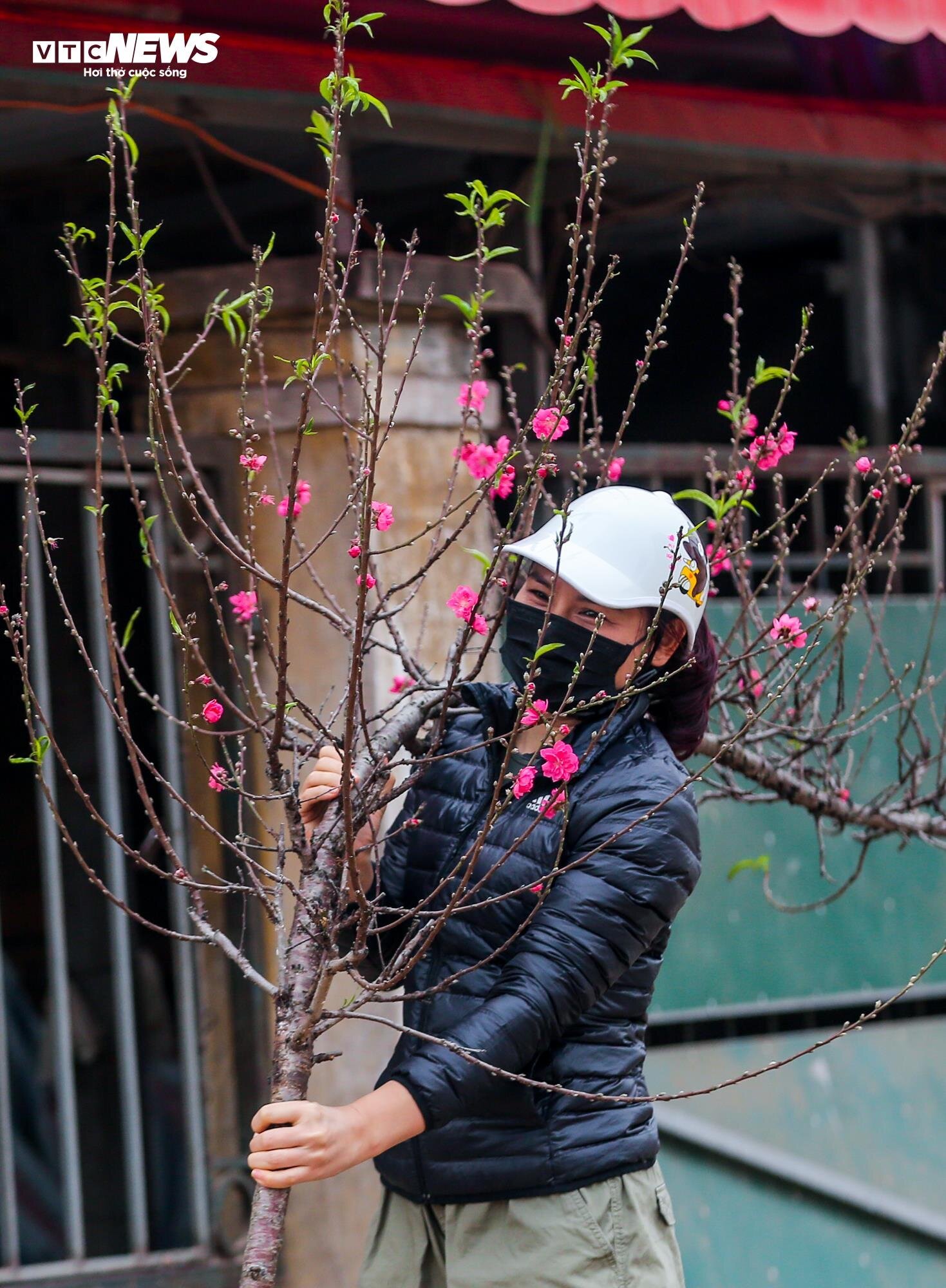 Đào Nhật Tân xuống phố sớm, hút người mua - Ảnh 7