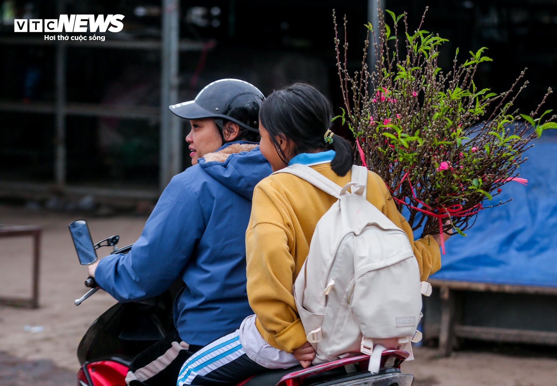 Đào Nhật Tân xuống phố sớm, hút người mua - Ảnh 11