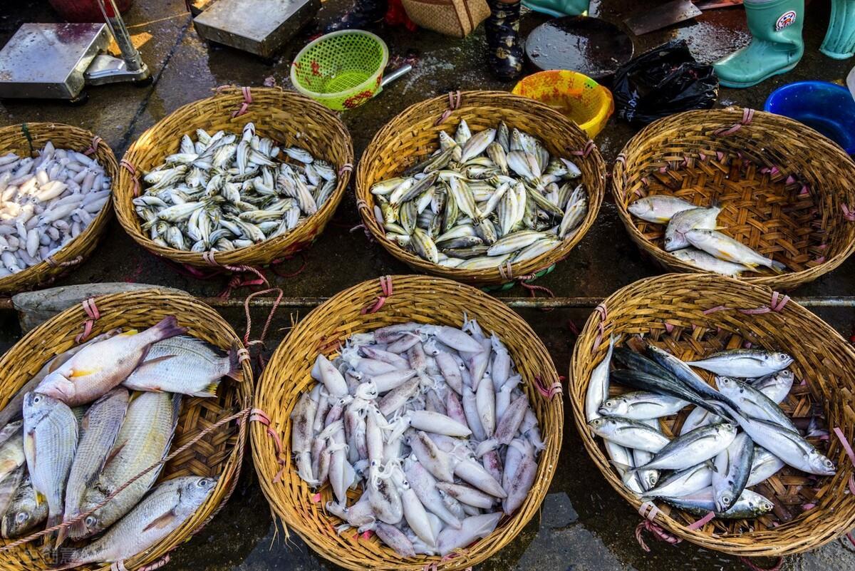 Khi mua cá ăn Tết, người thông minh sẽ chọn 3 loại này, người bán thế nào cũng khen bạn nức nở - Ảnh 3