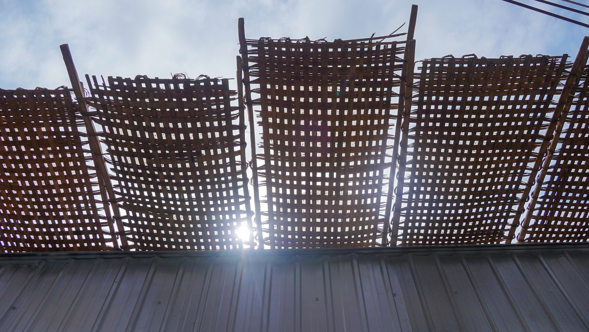 Làng nghề bánh tráng 200 năm ở Cần Thơ tất bật vào vụ Tết - Ảnh 8