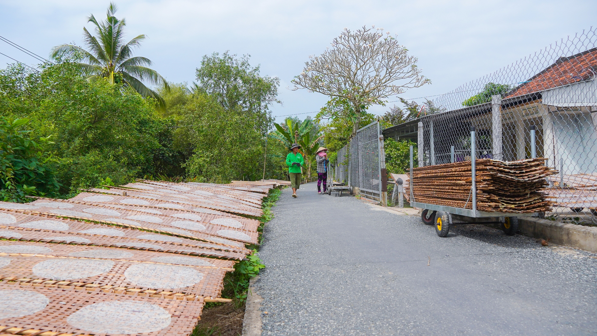 Làng nghề bánh tráng 200 năm ở Cần Thơ tất bật vào vụ Tết - Ảnh 5