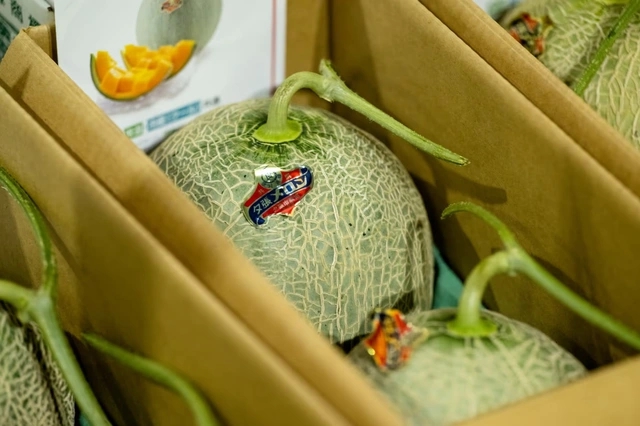 Độc lạ loại quả có giá hơn nửa tỷ/cặp, chỉ Nhật Bản mới trồng, người thường hiếm khi mua được - Ảnh 2