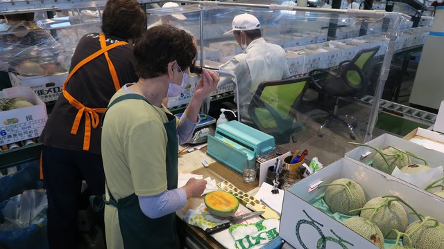 Độc lạ loại quả có giá hơn nửa tỷ/cặp, chỉ Nhật Bản mới trồng, người thường hiếm khi mua được - Ảnh 4