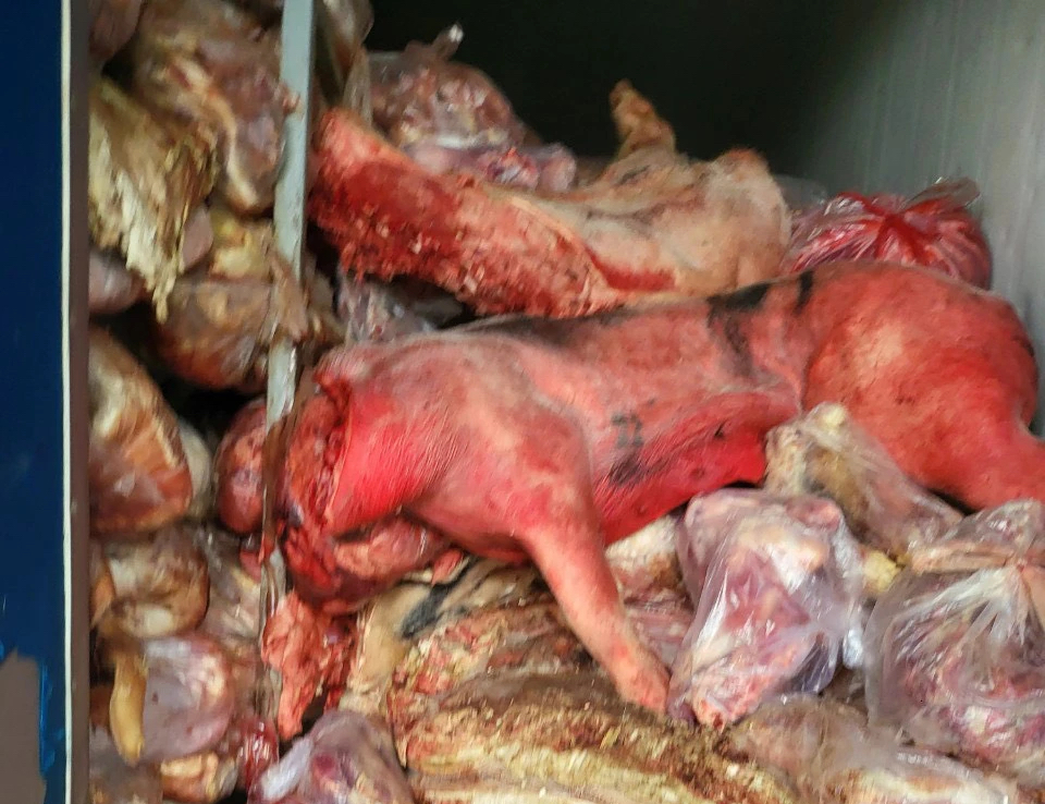 Giật mình với kết quả xét nghiệm thịt heo lấy từ kho đông lạnh - Ảnh 1
