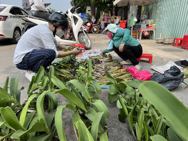 Hoa kiểng Tết tràn ra đường, giá dễ chịu - Ảnh 4
