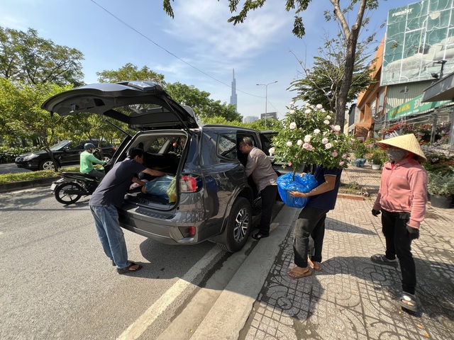 Hoa kiểng Tết tràn ra đường, giá dễ chịu - Ảnh 8