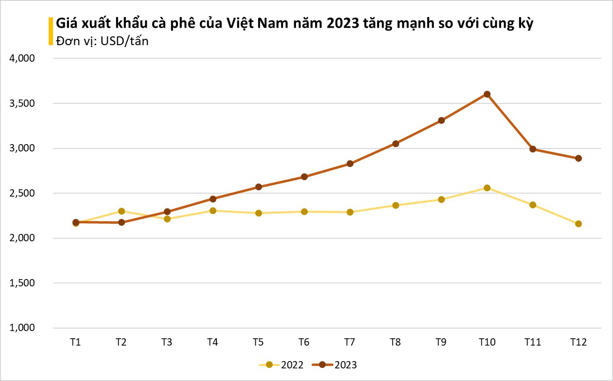 Loại hạt tỷ đô của Việt Nam từ Đông sang Tây ai cũng mê: giá trong nước lập đỉnh lịch sử, nước ta xuất khẩu thứ 2 thế giới - Ảnh 2