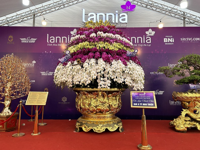 VIDEO: Chậu lan hồ điệp "khổng lồ" được rao bán 3,868 tỉ đồng - Ảnh 2