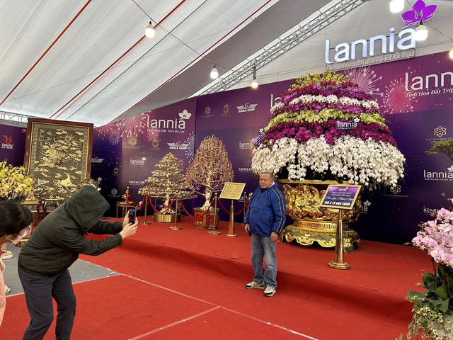 VIDEO: Chậu lan hồ điệp "khổng lồ" được rao bán 3,868 tỉ đồng - Ảnh 6