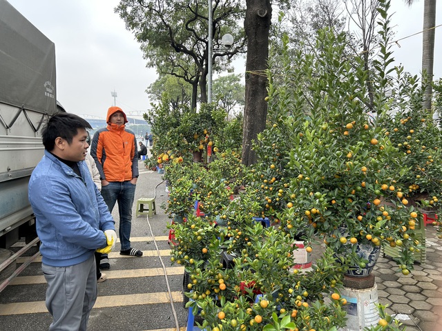 VIDEO: Chậu lan hồ điệp "khổng lồ" được rao bán 3,868 tỉ đồng - Ảnh 7
