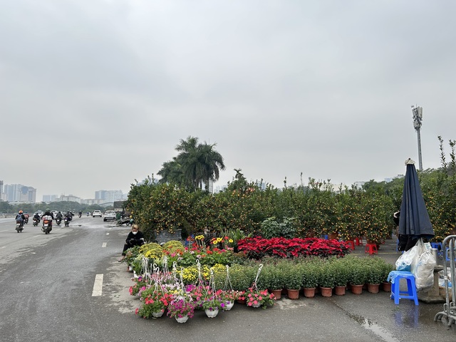 VIDEO: Chậu lan hồ điệp "khổng lồ" được rao bán 3,868 tỉ đồng - Ảnh 10