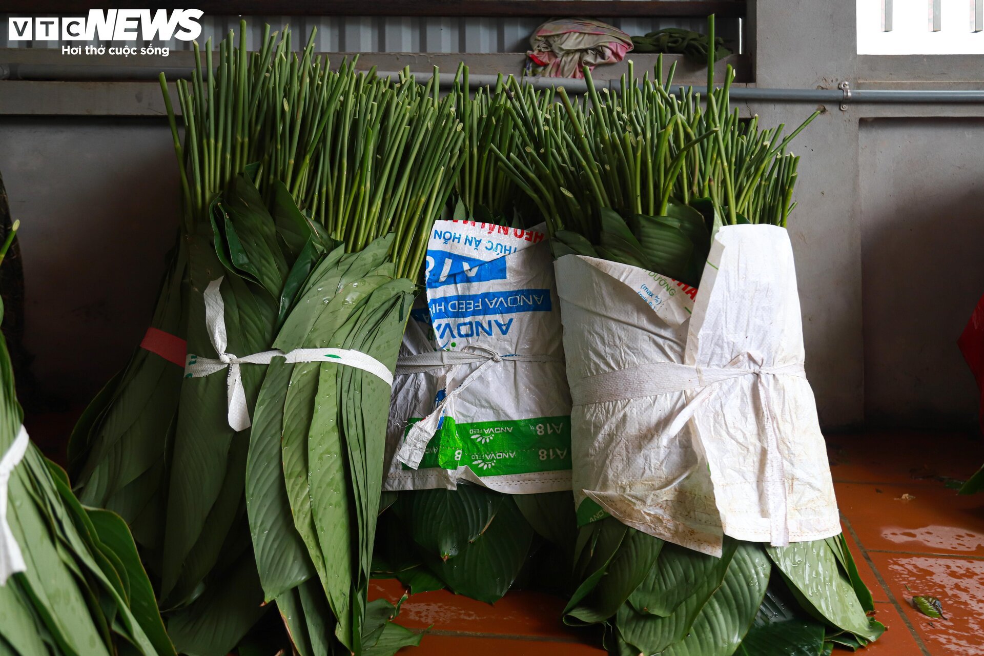 Tất bật thu hoạch lá dong, mong hốt bạc dịp Tết Nguyên đán - Ảnh 13