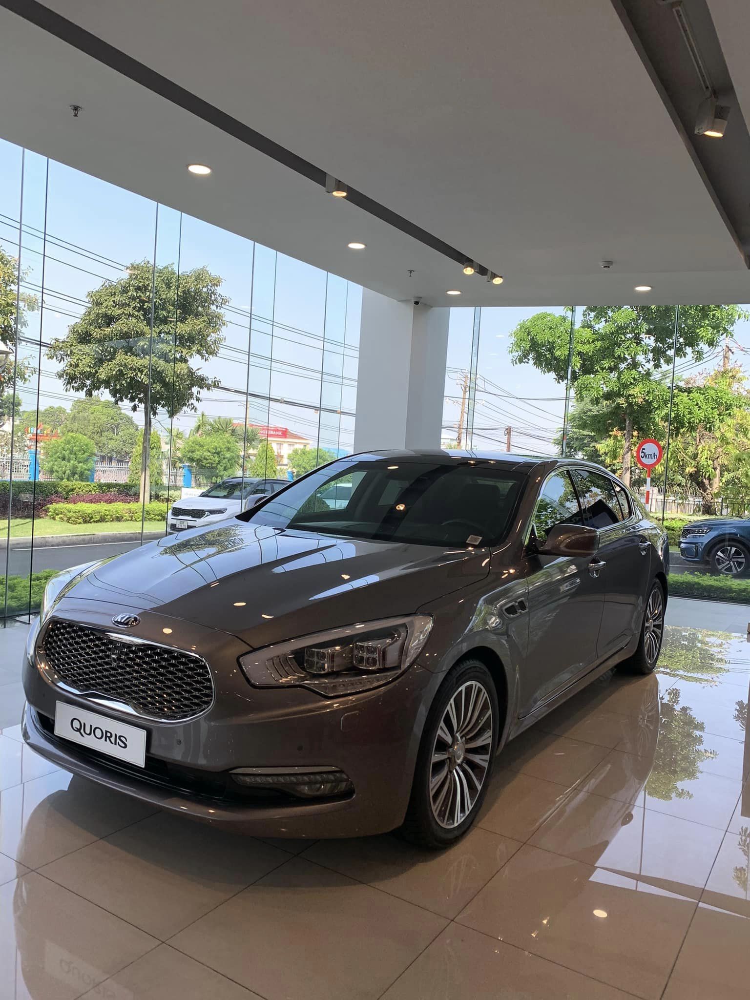 Xe lạ của KIA ở Việt Nam: Sang xịn như Mercedes S-Class, vừa giảm 1,2 tỷ đồng tranh khách với Camry - Ảnh 1