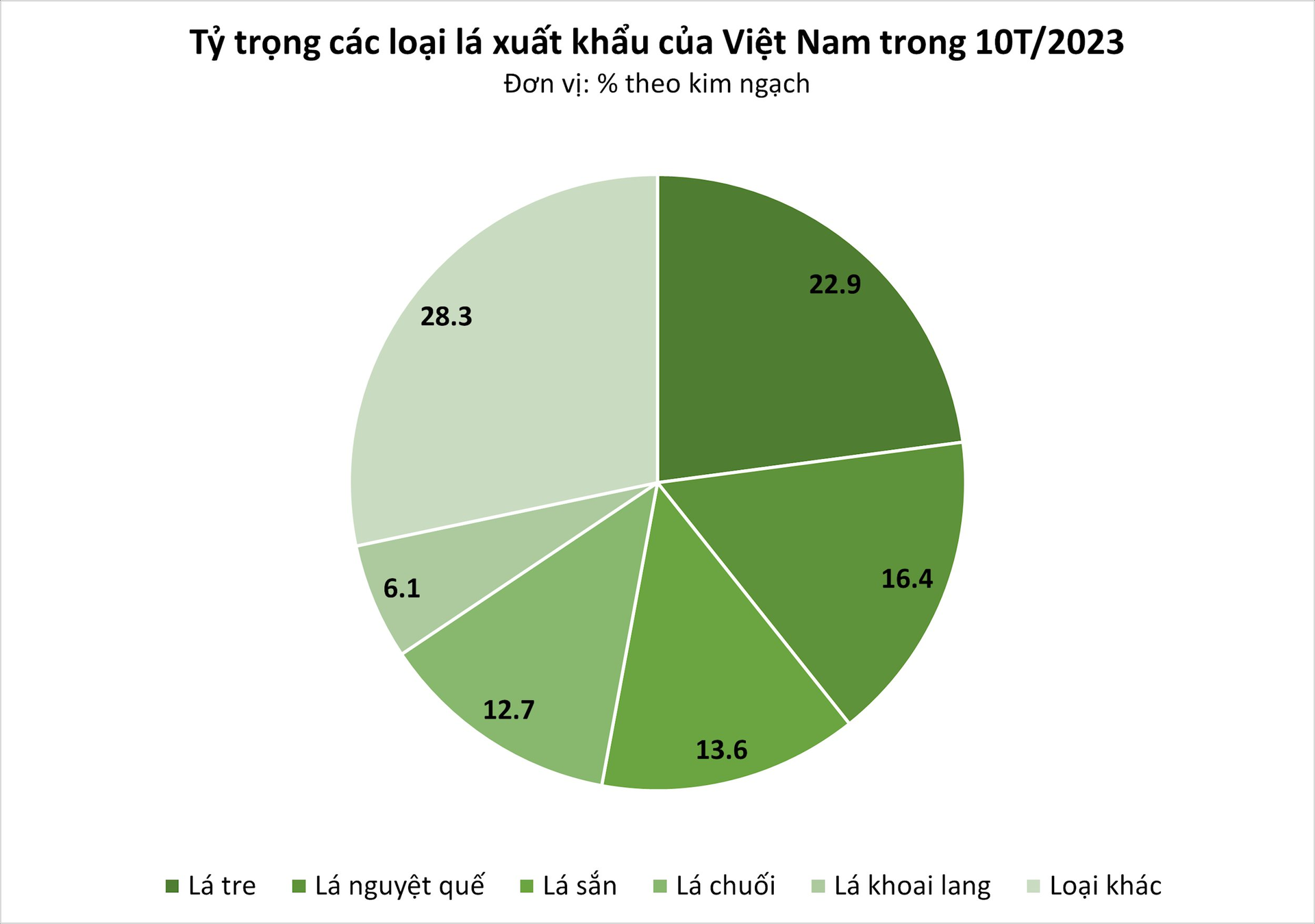 Loại lá bỏ đi không ai lấy sang nước ngoài thành hàng đắt đỏ, đều đặn mang về 2 triệu USD/năm cho Việt Nam - Ảnh 1