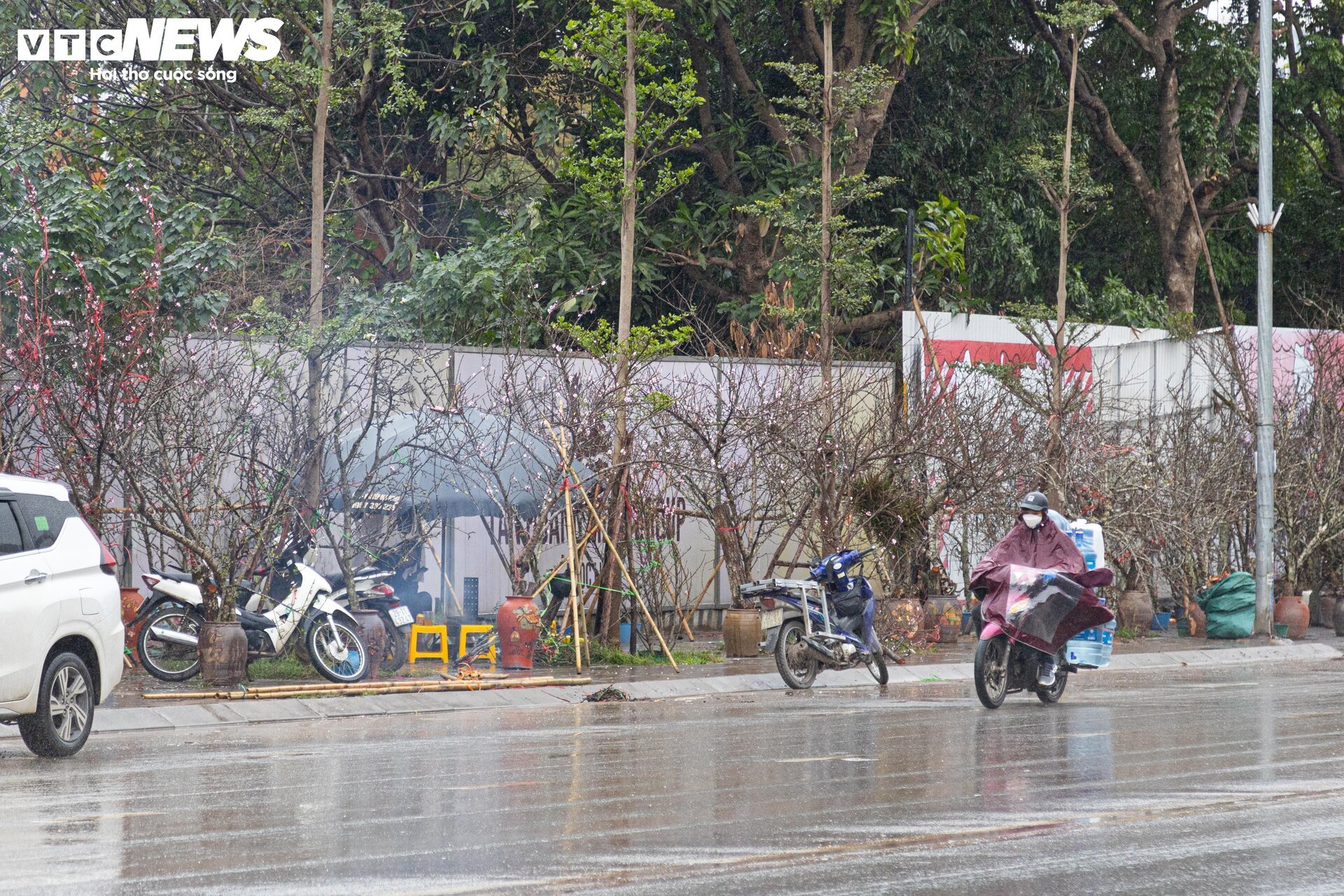 Hà Nội mưa rét đỉnh điểm, người bán 'ôm' cây cảnh Tết, sốt ruột chờ khách mua - Ảnh 1