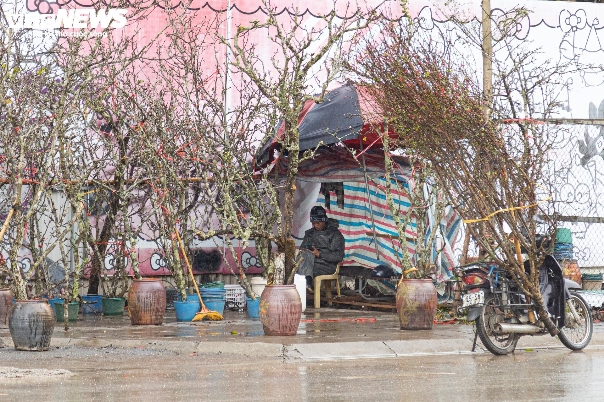 Hà Nội mưa rét đỉnh điểm, người bán 'ôm' cây cảnh Tết, sốt ruột chờ khách mua - Ảnh 3