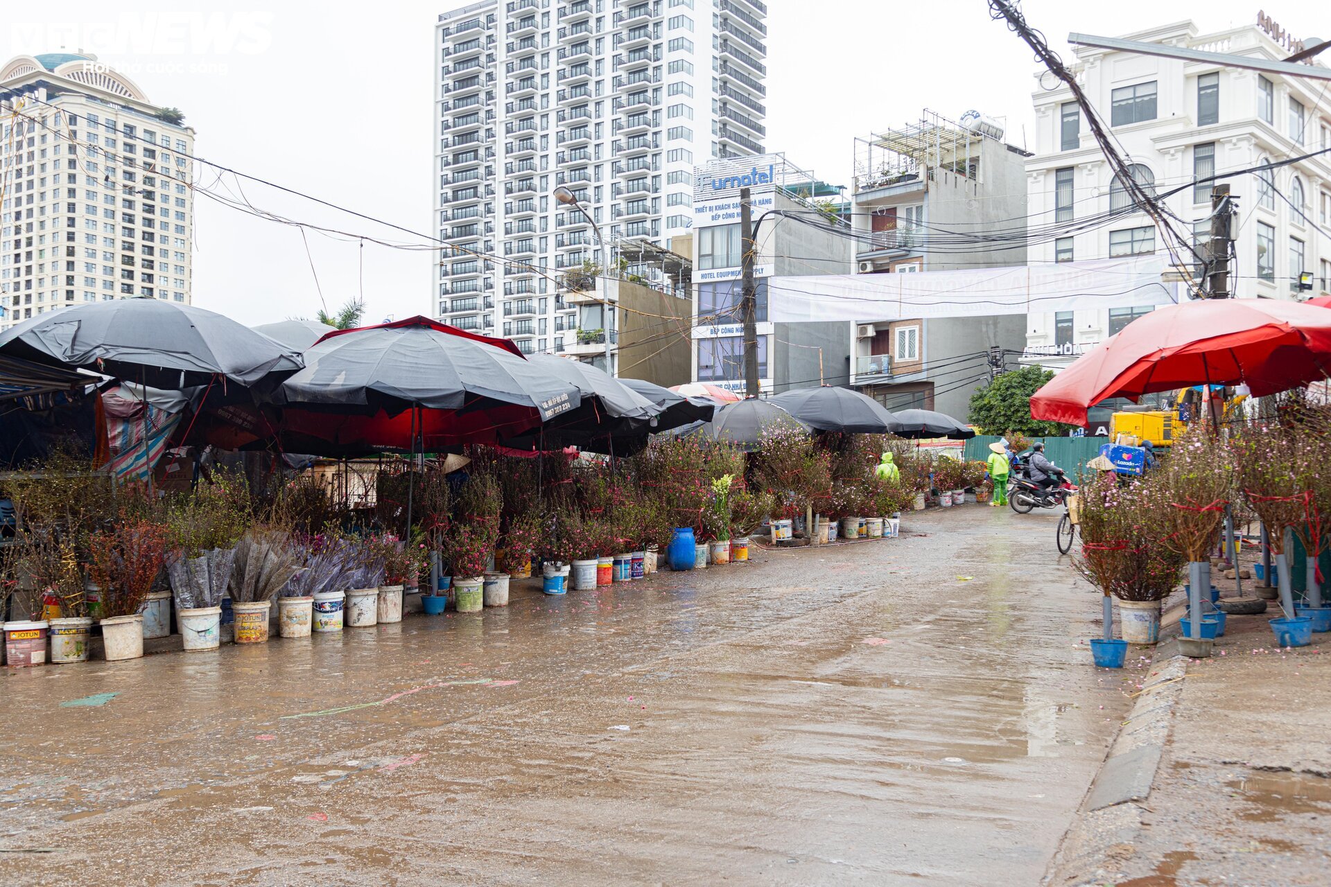 Hà Nội mưa rét đỉnh điểm, người bán 'ôm' cây cảnh Tết, sốt ruột chờ khách mua - Ảnh 4