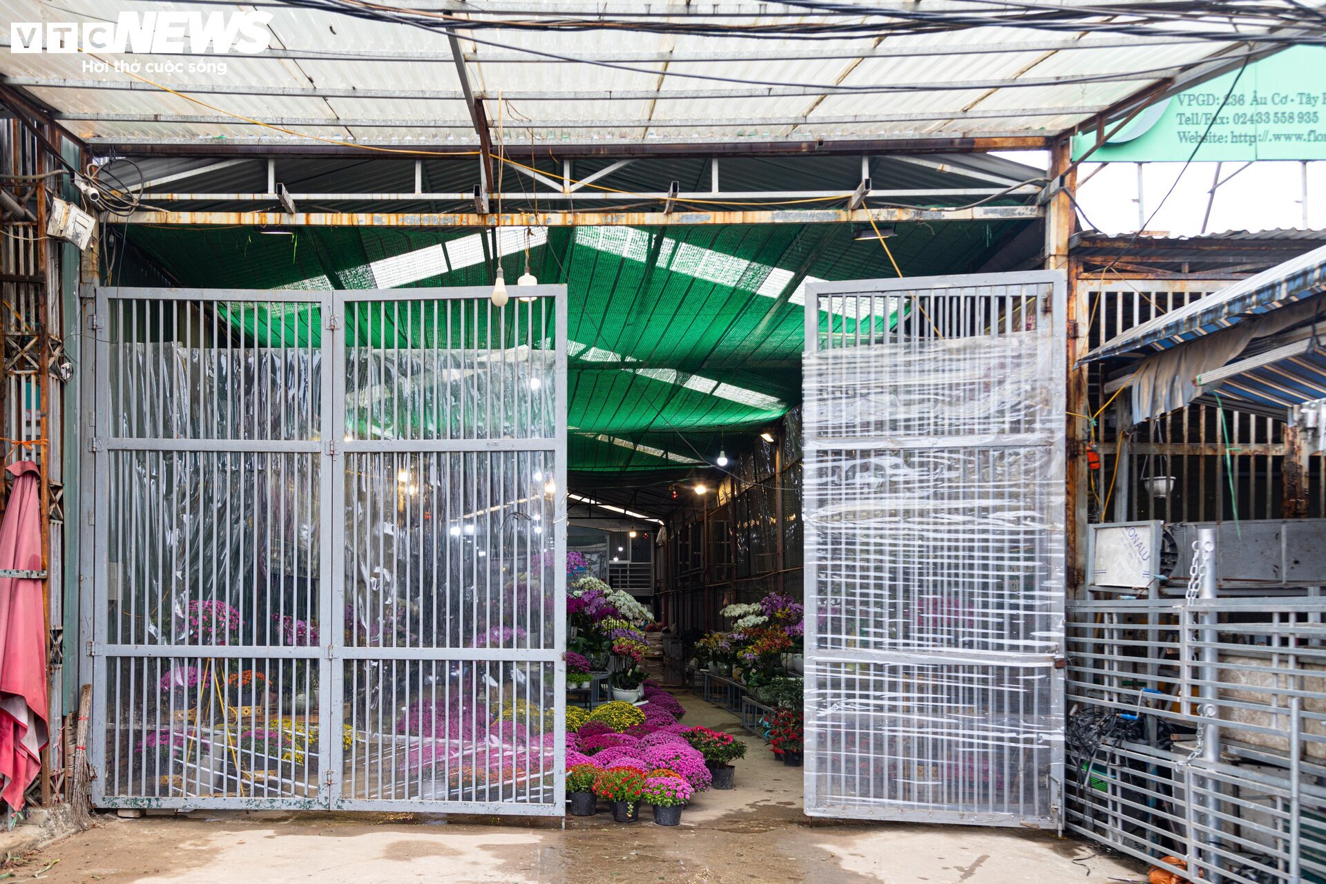 Hà Nội mưa rét đỉnh điểm, người bán 'ôm' cây cảnh Tết, sốt ruột chờ khách mua - Ảnh 11