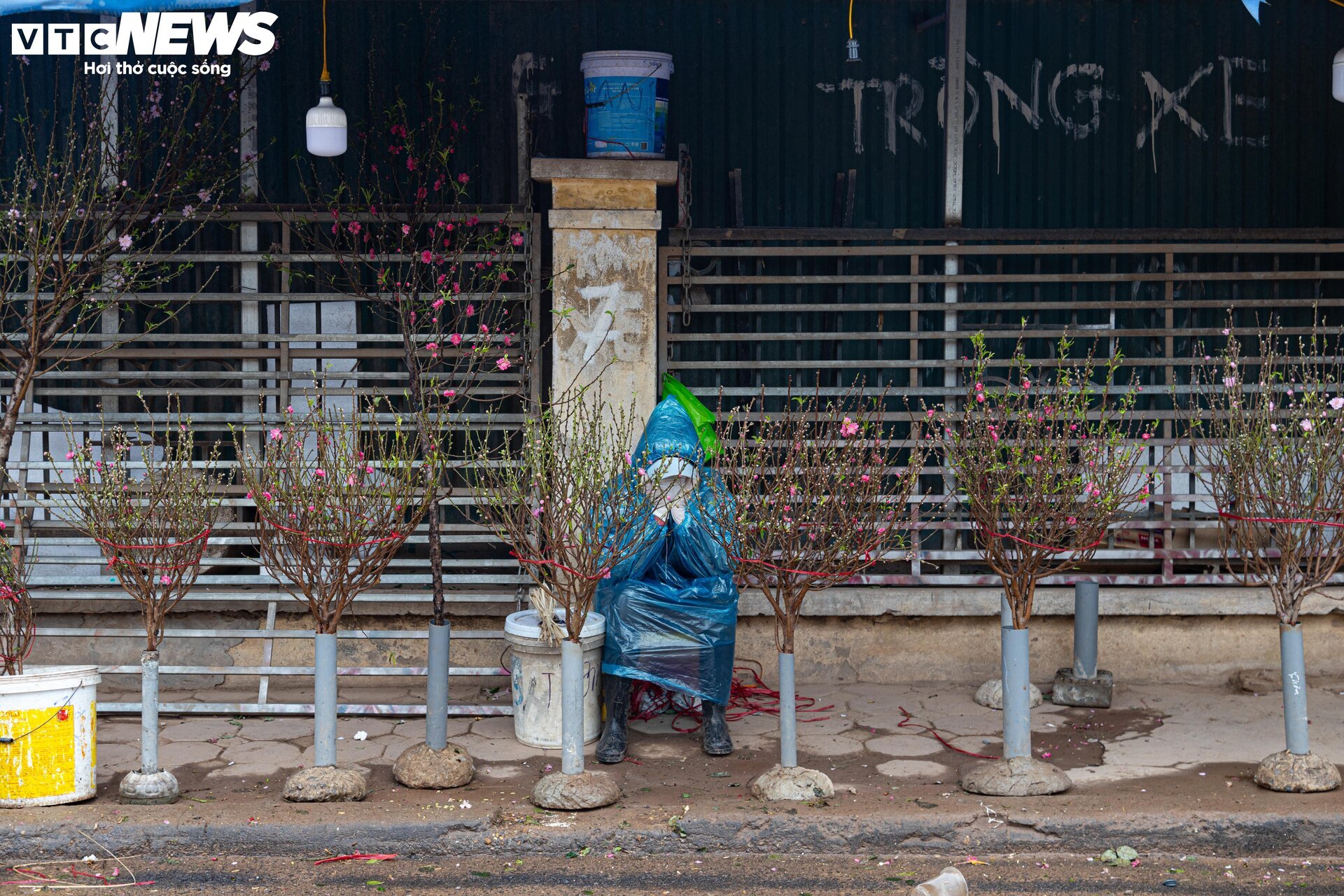 Hà Nội mưa rét đỉnh điểm, người bán 'ôm' cây cảnh Tết, sốt ruột chờ khách mua - Ảnh 7