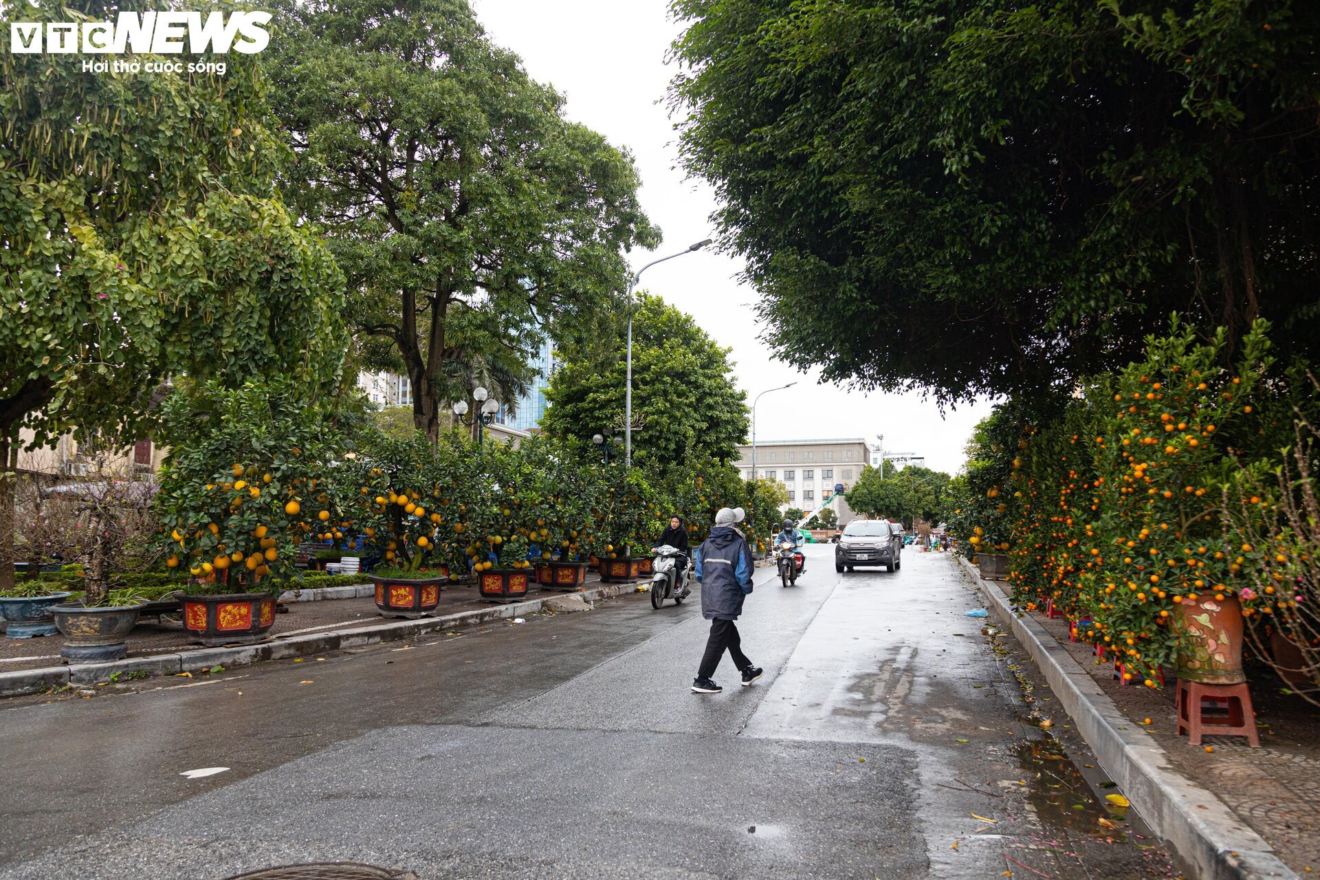 Hà Nội mưa rét đỉnh điểm, người bán 'ôm' cây cảnh Tết, sốt ruột chờ khách mua - Ảnh 14