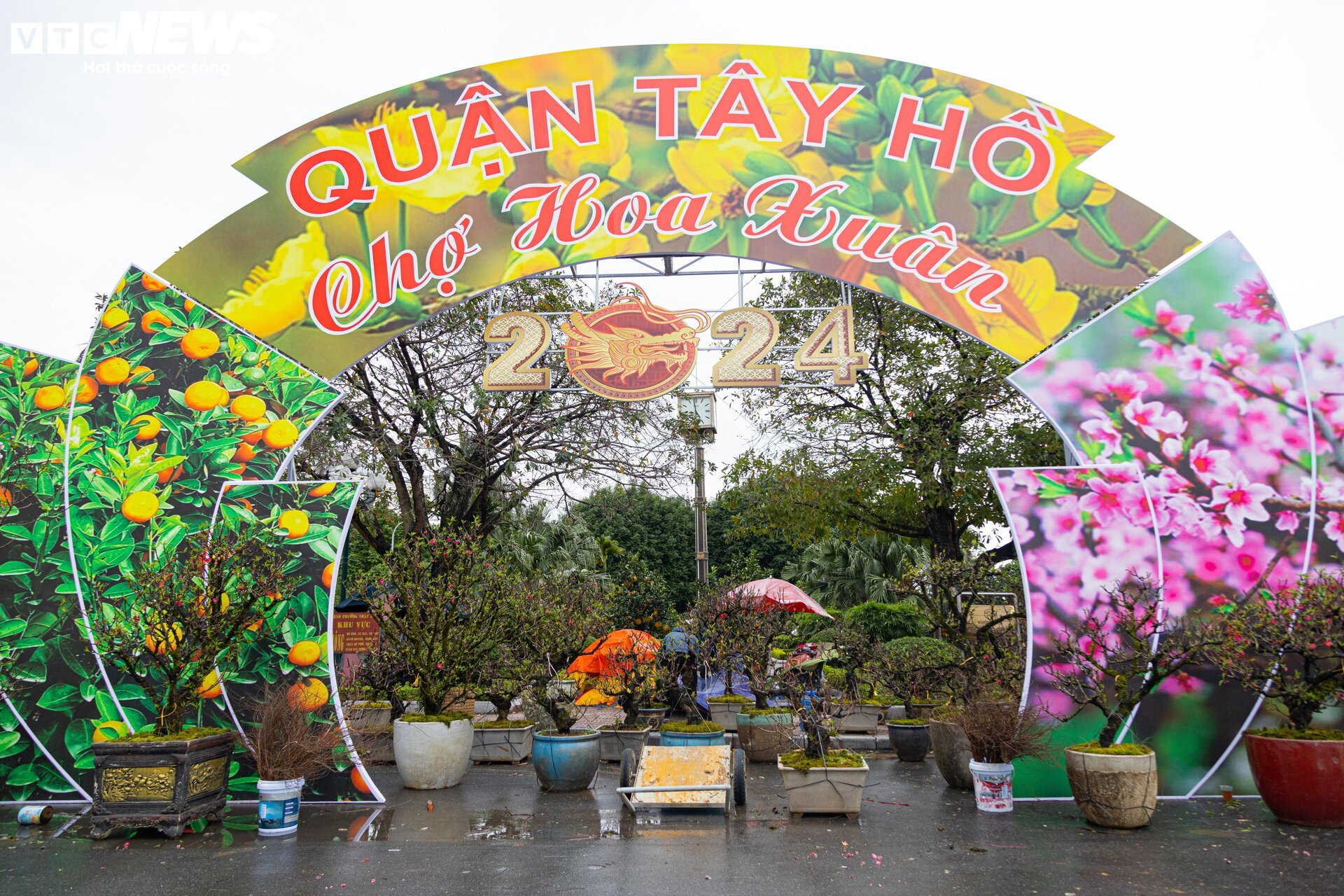 Hà Nội mưa rét đỉnh điểm, người bán 'ôm' cây cảnh Tết, sốt ruột chờ khách mua - Ảnh 12