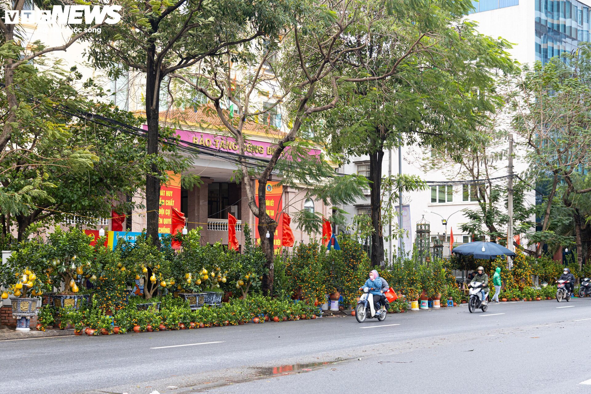 Hà Nội mưa rét đỉnh điểm, người bán 'ôm' cây cảnh Tết, sốt ruột chờ khách mua - Ảnh 13