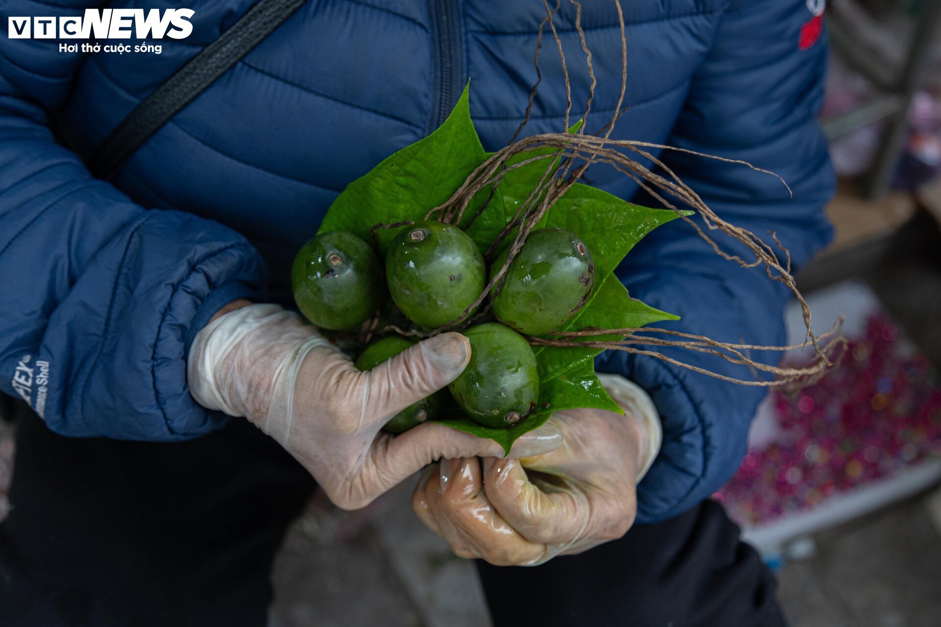 Sát ngày ông Công, ông Táo, thị trường đồ lễ ở Hà Nội nhộn nhịp khác thường - Ảnh 8