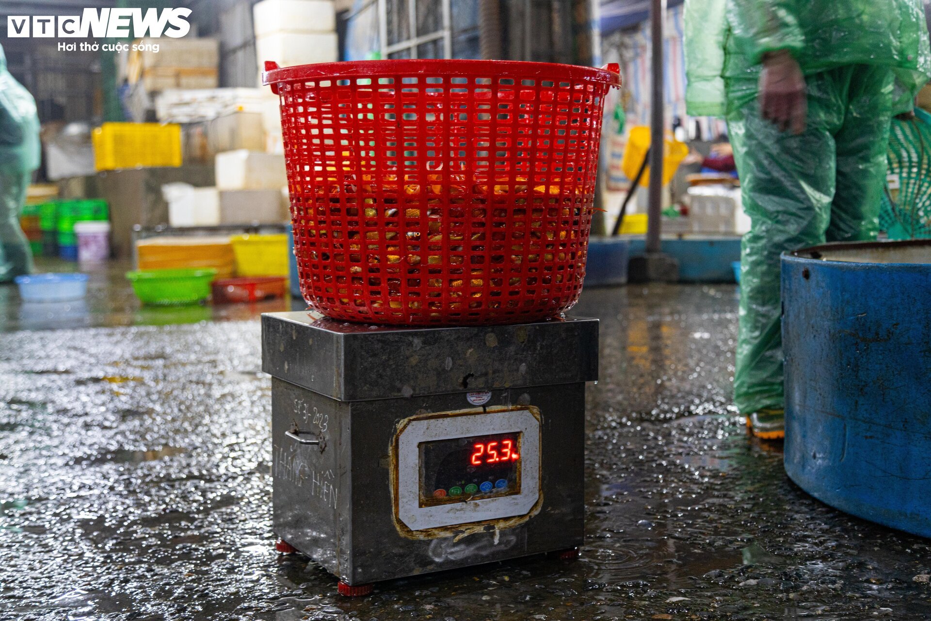 Chợ cá lớn nhất Hà Nội buôn bán xuyên đêm trước ngày ông Công, ông Táo - Ảnh 6