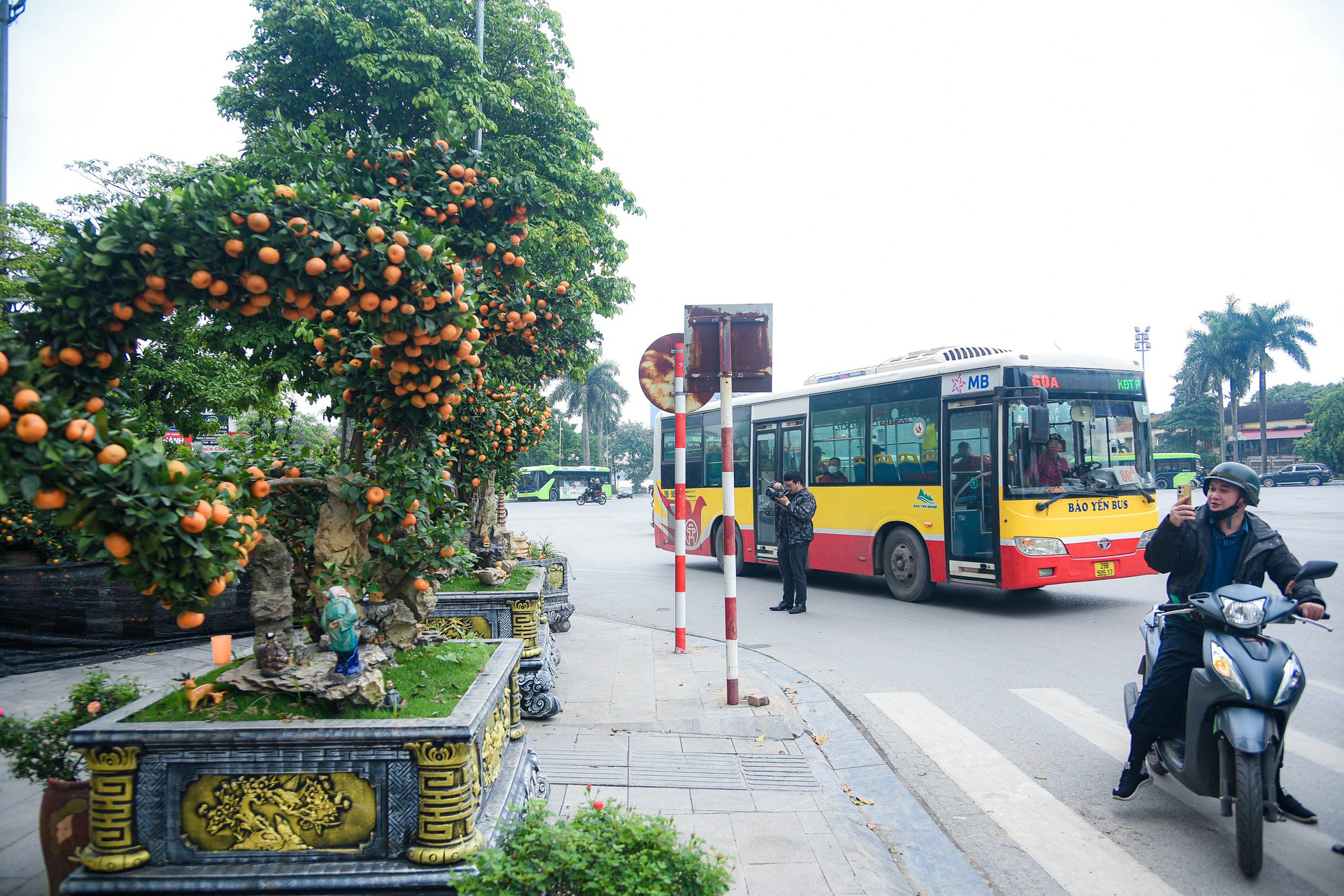 Cận cảnh cặp quất hình rồng đón Tết Giáp Thìn giá hơn 200 triệu đồng - Ảnh 9