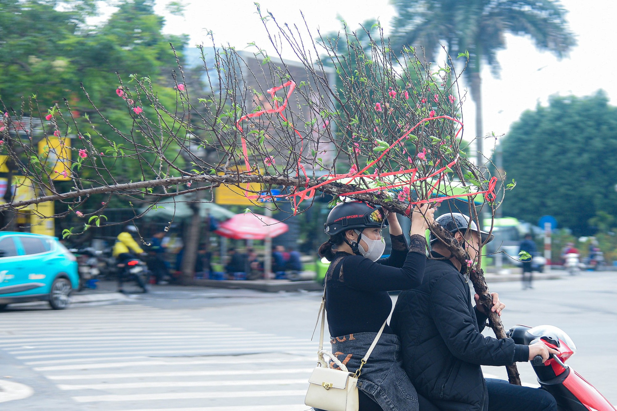 Cận cảnh cặp quất hình rồng đón Tết Giáp Thìn giá hơn 200 triệu đồng - Ảnh 15