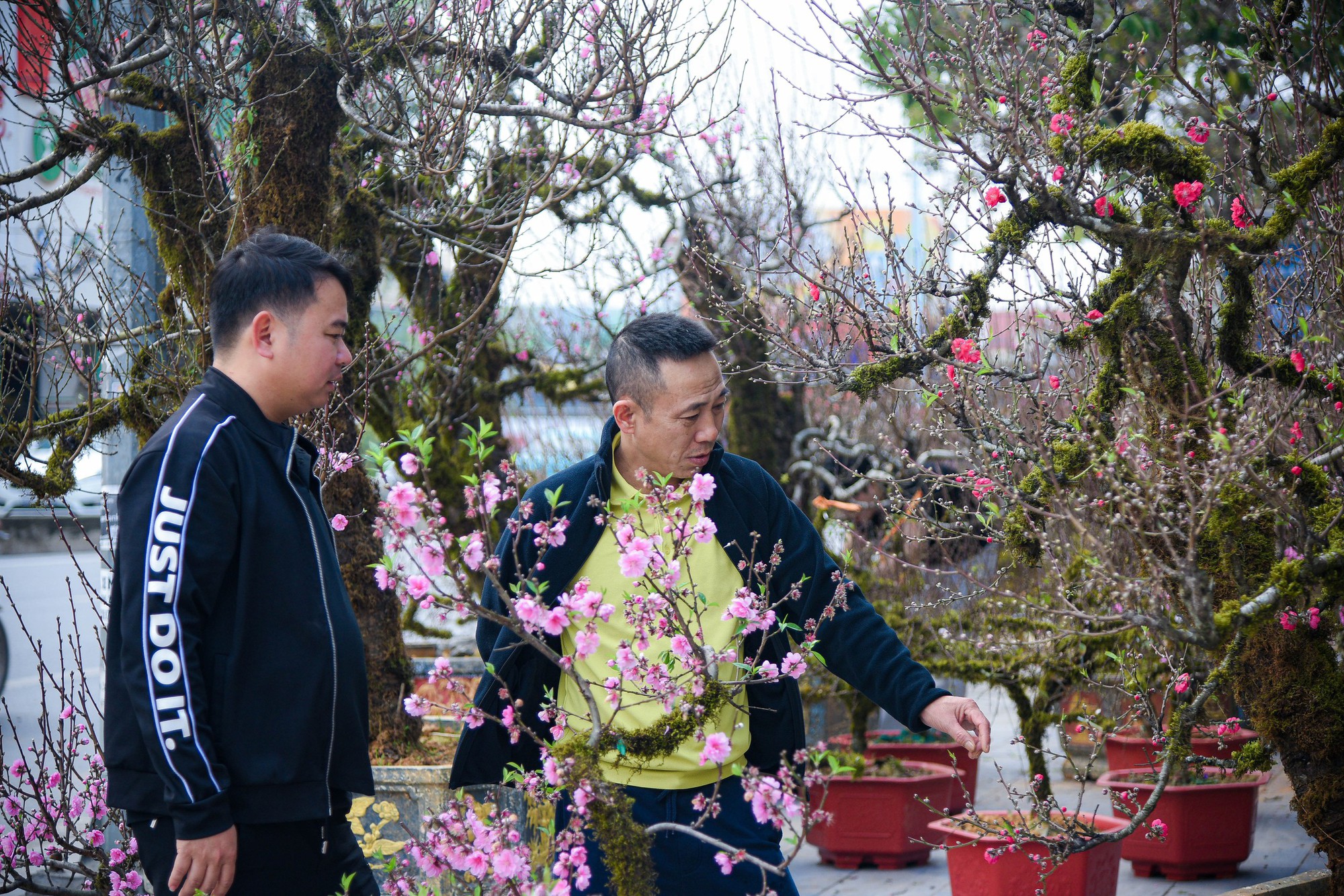 Cận cảnh cặp quất hình rồng đón Tết Giáp Thìn giá hơn 200 triệu đồng - Ảnh 13