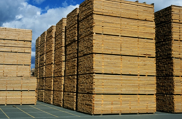 Canadian Wood tăng cường quảng bá gỗ mềm từ Canada tại thị trường Việt Nam - Ảnh 1