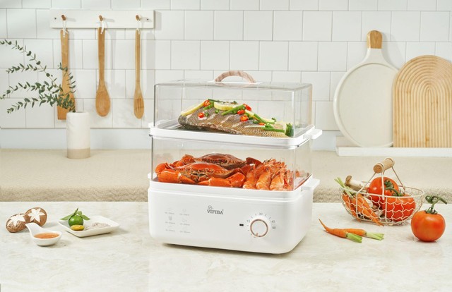 Hành trình chinh phục thị trường thiết bị gia dụng Việt Nam của Vifiba - Ảnh 2