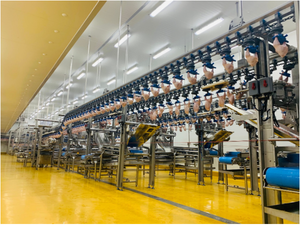 Nhờ "siêu tổ hợp" tự động, C.P. Việt Nam chinh phục người dùng toàn cầu - Ảnh 2