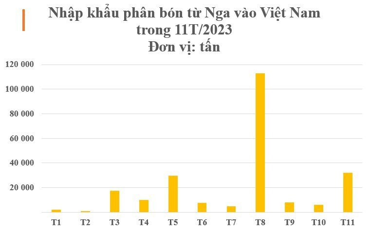 Nga bất ngờ tăng xuất khẩu một mặt hàng đến Việt Nam hơn 500%, giá rẻ cực hấp dẫn - Ảnh 2