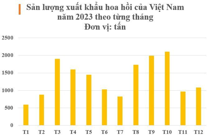 Việt Nam sở hữu 'cánh hoa nghìn tỷ' cực hiếm trên thế giới: Ấn Độ, Trung Quốc đua nhau săn lùng, nước ta cạnh tranh với Trung Quốc thống trị nguồn cung toàn cầu - Ảnh 2