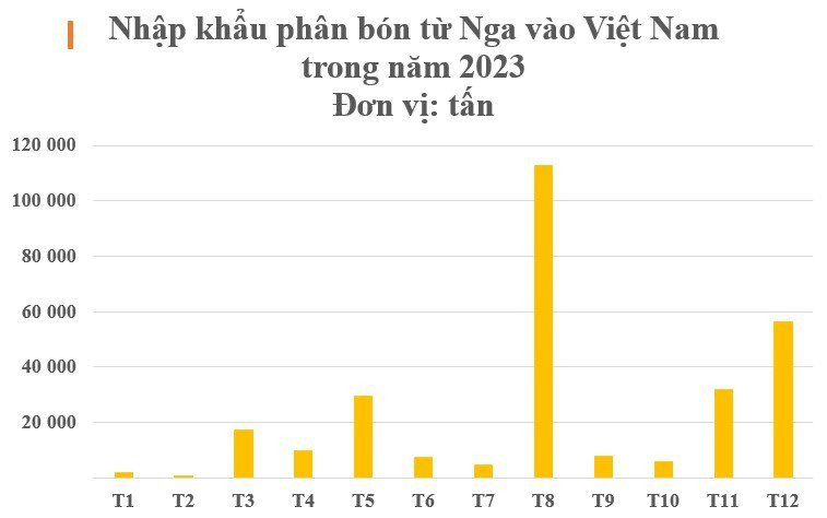 Mặt hàng này từ Nga liên tục đổ bộ Việt Nam với giá rẻ cực hấp dẫn, Việt Nam chớp cơ hội 'vàng' chi hàng trăm triệu USD gom hàng - Ảnh 2