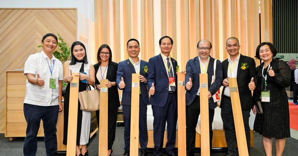 Canadian Wood tăng cường quảng bá gỗ mềm từ Canada tại thị trường Việt Nam